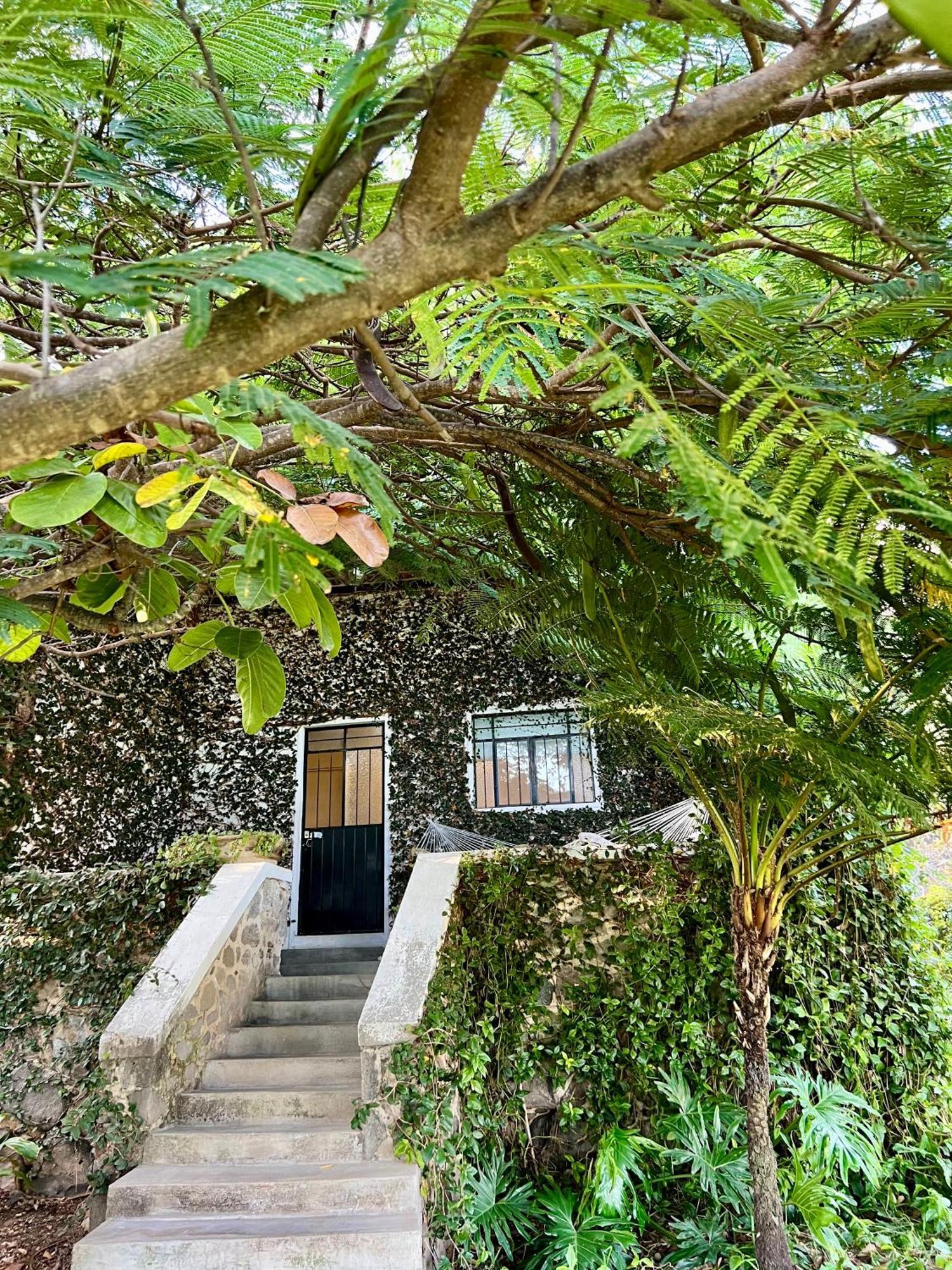 Mama Chuy Hotel & Villas San Juan Cosalá Exterior photo